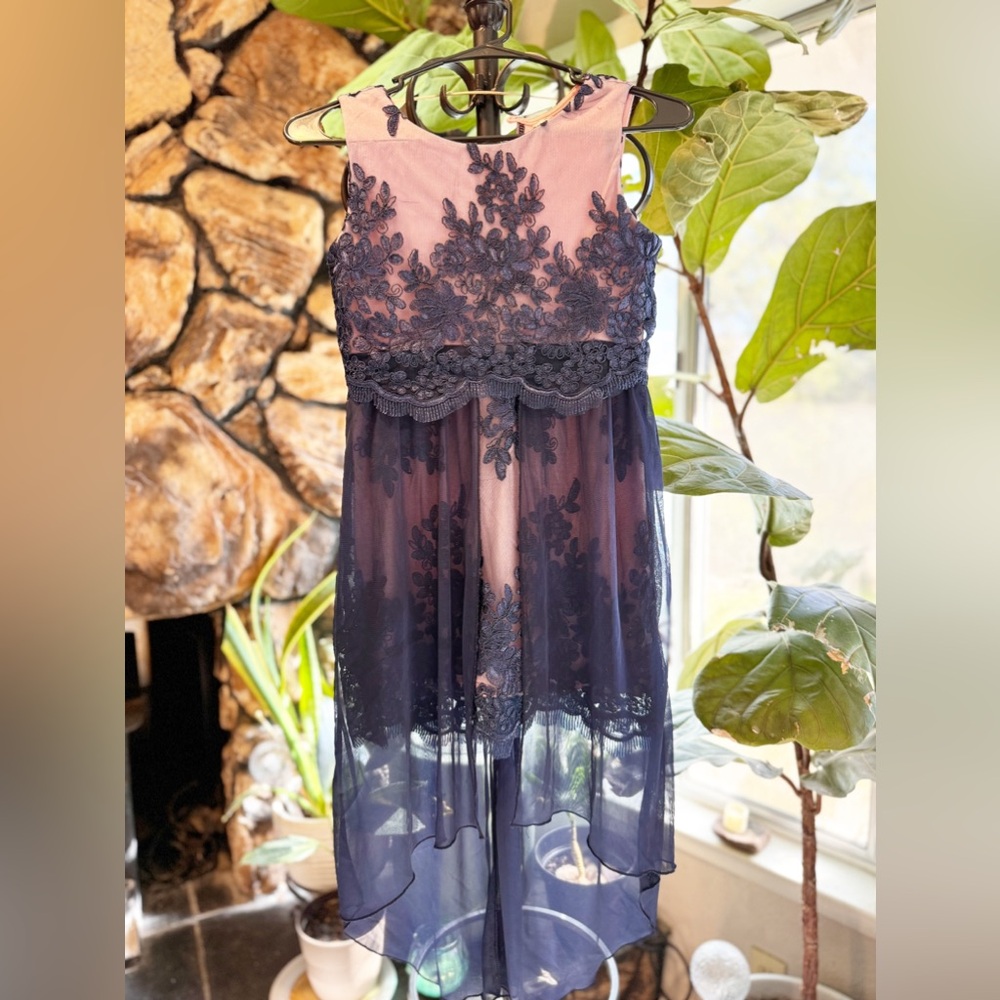 Navy blue & pink/ lace dress